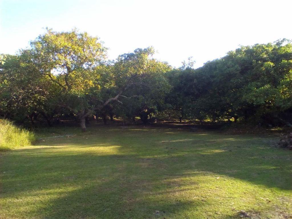 Cashew Nut Bungalow, Ko Mook Dış mekan fotoğraf